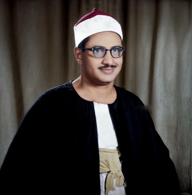 الشيخ محمد صديق المنشاوي